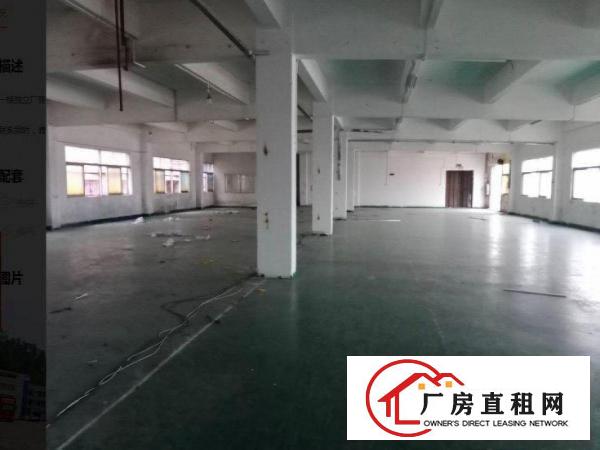  龙背岭工业区新出一楼400方，800方带办公装修厂房