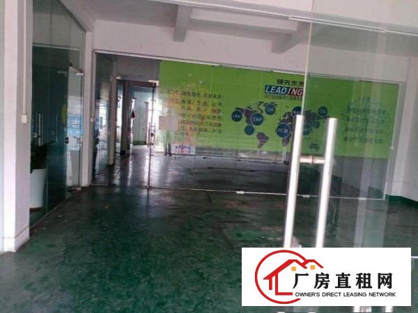  龙背岭工业区新出一楼400方，800方带办公装修厂房