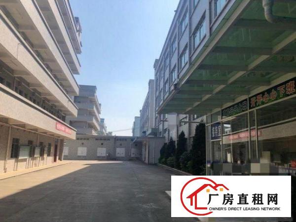  莆心湖新出！1300平米钢构厂房带办公室装修招租