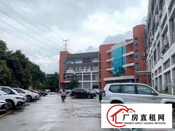  振兴围楼上新出780平厂房出租水电办公室齐全
