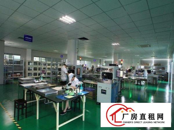 石潭埔原房东厂房一楼600平方带牛角高度6米