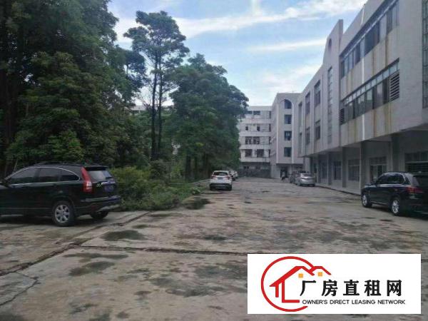 大坪工业区标准厂房出租二楼500平方，现成装修水电