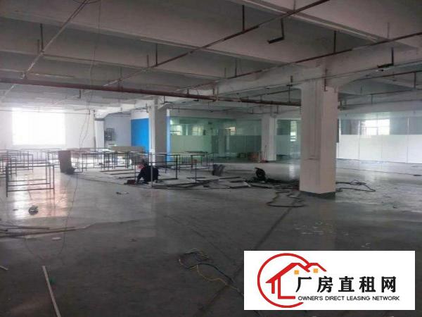  大坪工业区标准厂房出租二楼500平方，现成装修水电