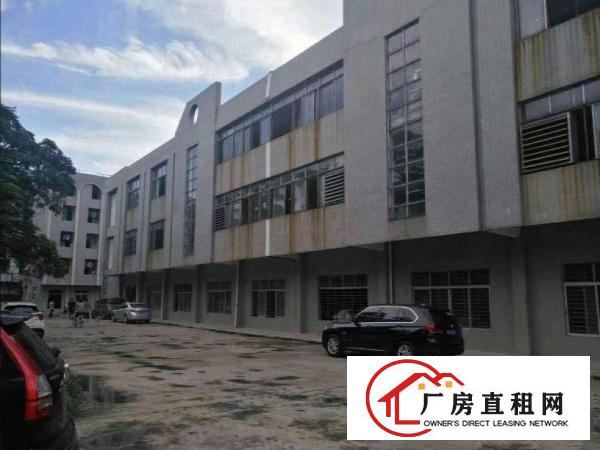  大坪工业区标准厂房出租二楼500平方，现成装修水电