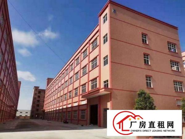  平山全新500平厂房出租豪华装修水电齐全带电梯