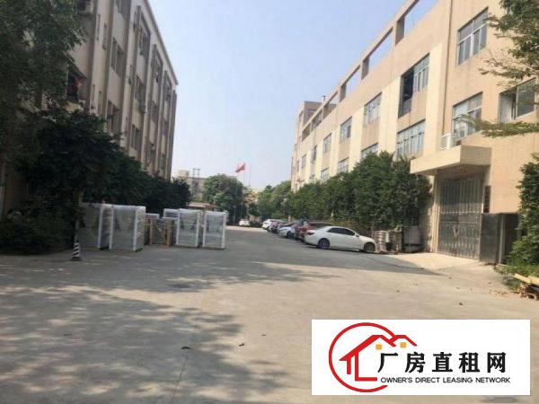  四村一楼2080平厂房出租豪华装修超大停车场
