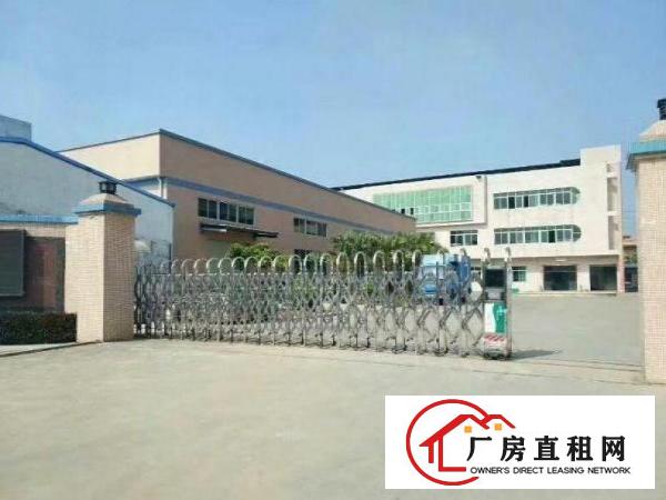  林村一楼原房东厂房1100平厂房招租！面积实在！