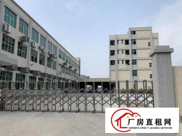  林村一楼原房东厂房1100平厂房招租！面积实在！