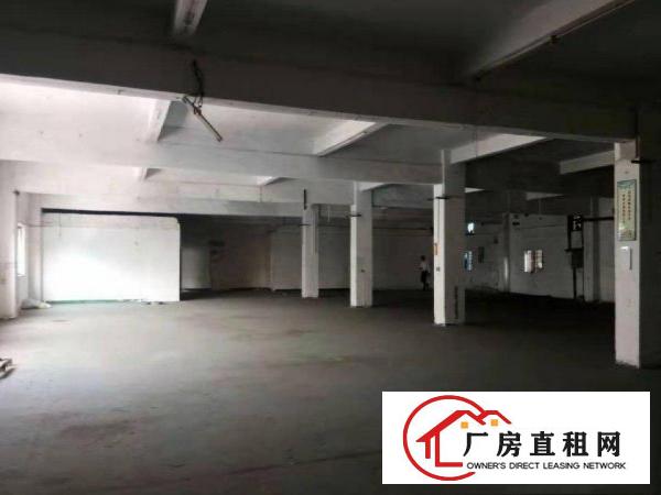  四村工业区楼上新出950平厂房出租带电梯可办环评交通便利