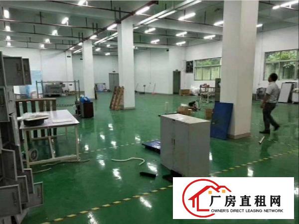 林村工业区空出楼上1850平带办公室精装修厂房出租
