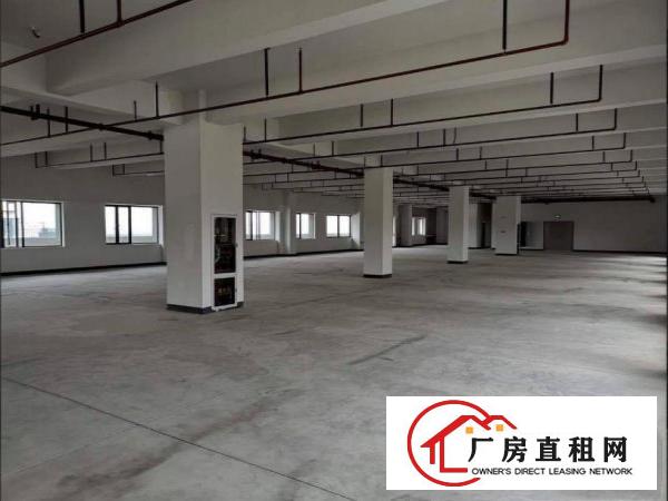  蛟乙塘工业区新出2500平原房东独门独院厂房出租电商仓库分租