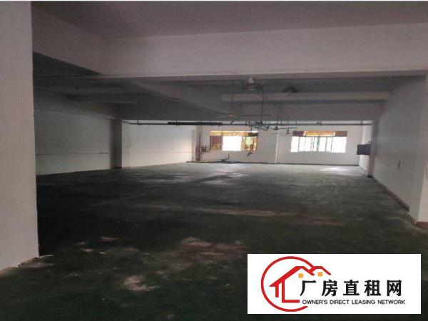  龙背岭工业区新出楼上300平水电齐全带办公室装修厂房出租