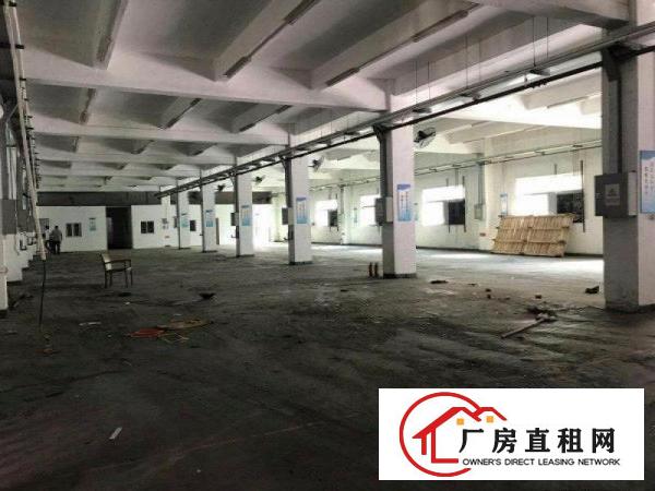  原房东！塘厦大坪2400平方米高6.5米标准一楼厂房