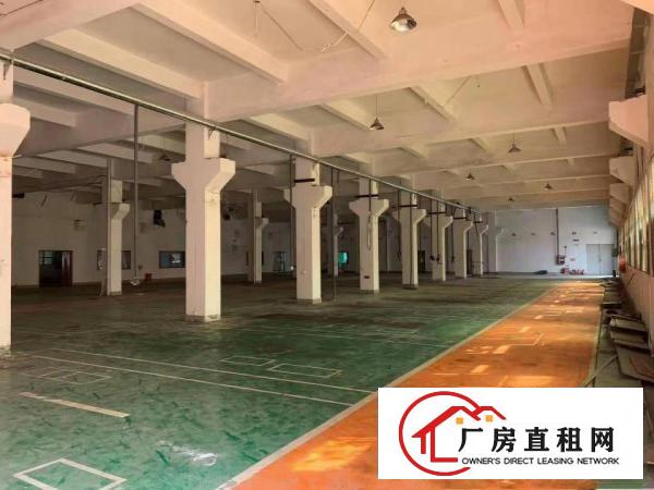  有独立办公楼塘厦林村高速路口两层独院厂房出租6600平