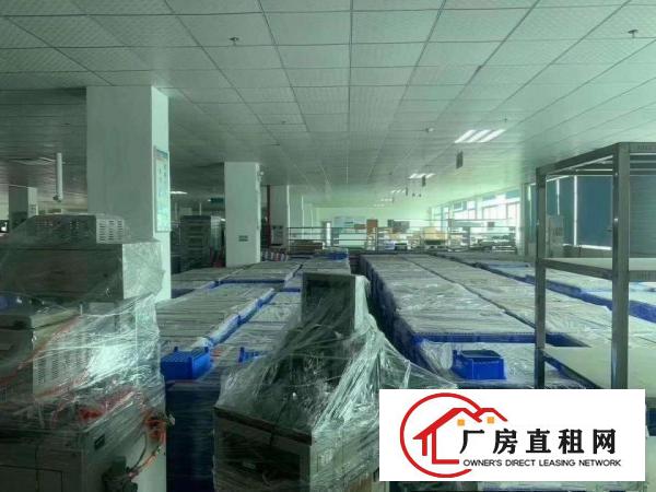  有吊顶地坪漆办公室，水电齐塘厦科苑城厂房出租3000平米