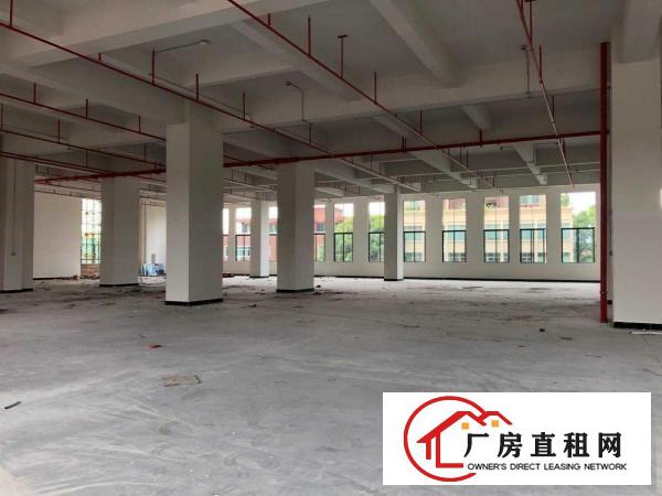  全新15155平方高端厂房，可分租，采光充足，水电齐全