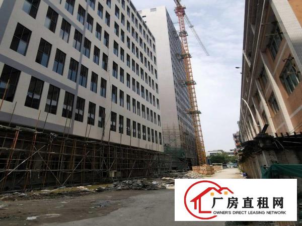  全新15155平方高端厂房，可分租，采光充足，水电齐全