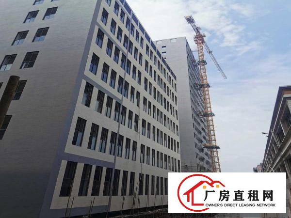  全新15155平方高端厂房，可分租，采光充足，水电齐全