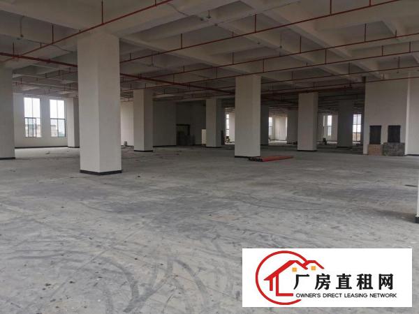  1665平方高端厂房（厚街大道）出租，工业上楼，动力十足