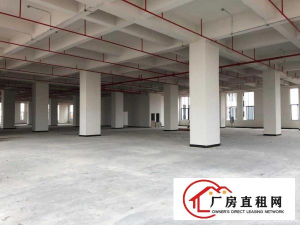  1665平方高端厂房（厚街大道）出租，工业上楼，动力十足