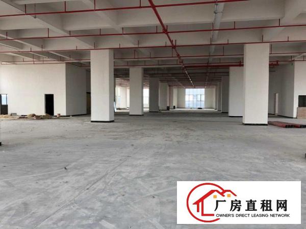  1665平方高端厂房（厚街大道）出租，工业上楼，动力十足