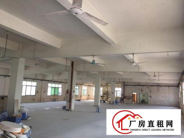  塘厦喷油，注塑，丝印行业厂房
