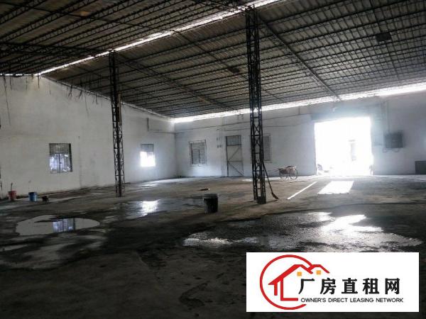  全翻新单一层独院厂房