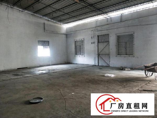  全翻新单一层独院厂房