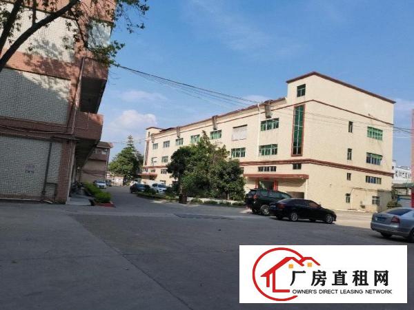  独门独院，形象好，精装修，