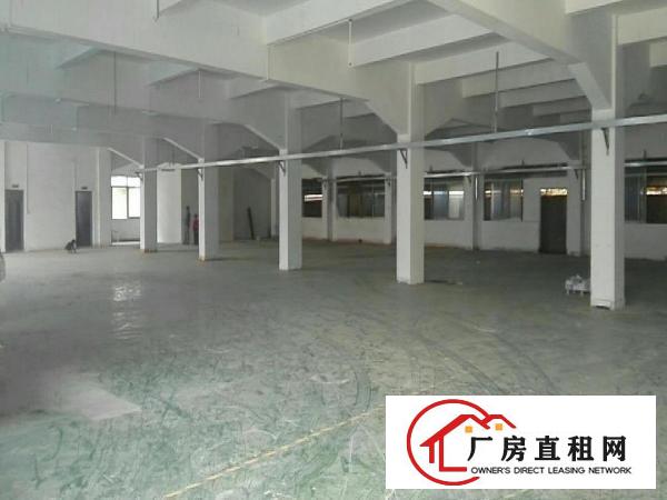  塘厦大坪标准1楼1500平方！现成主线！四黎南路旁交通方便