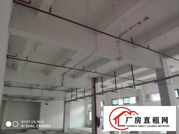  东莞塘厦超笋全新厂房470方招租