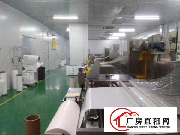  石鼓花园式独门独院8500平，带精装修办公室无尘车间。