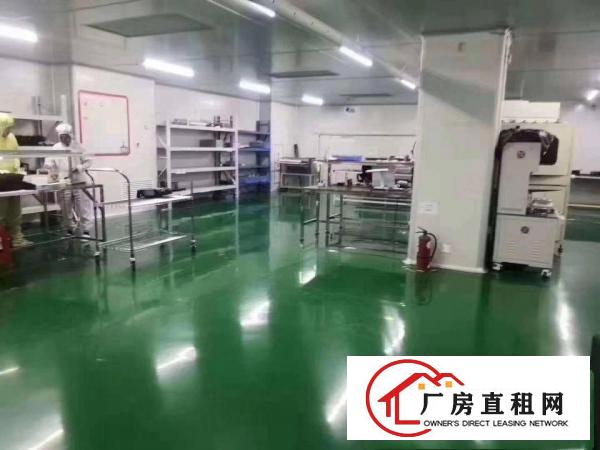  无转让费塘厦林村新出千级无尘车间2600平豪华装修