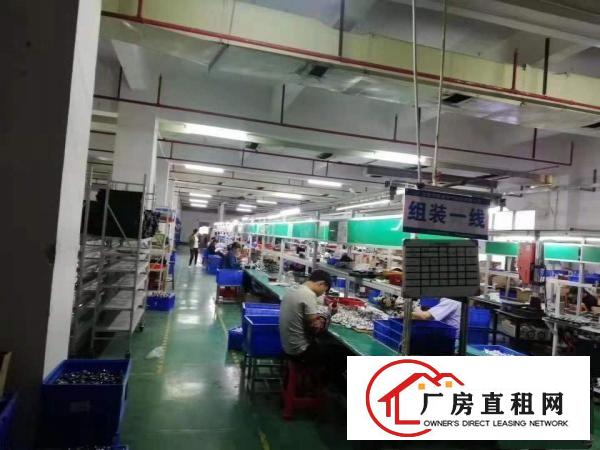  塘厦大坪电子组装加工线材厂房出租2000平有消防喷淋