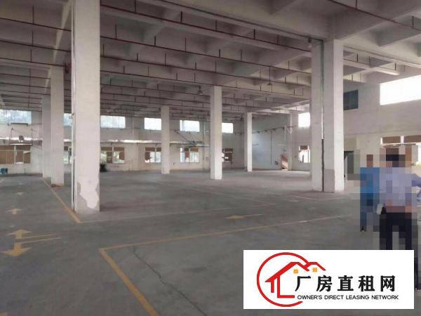  塘厦林村独院厂房出租9000平适合印刷，五金，注塑，电商仓库