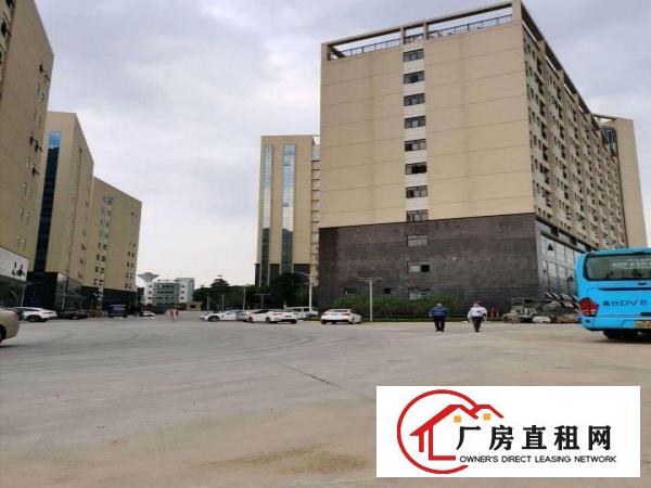  塘夏大坪工业园5万平方厂房出租200起租一楼库房无尘车间招租