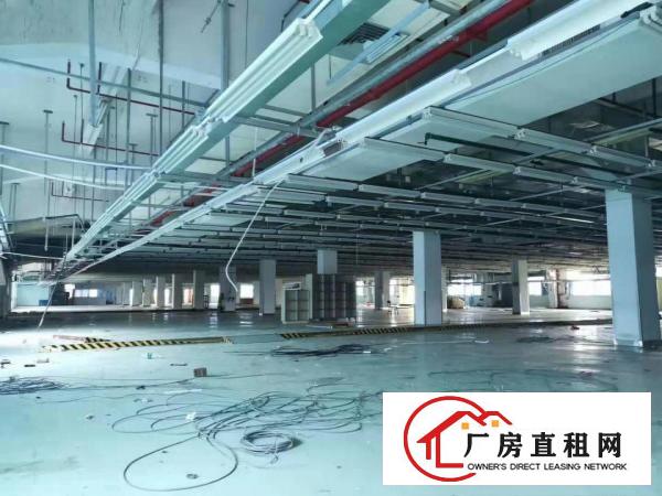  原房东无公摊！清湖头2000平方独院3楼厂房招租