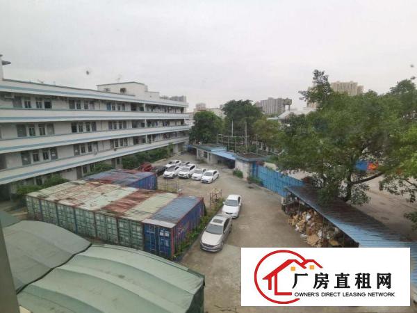  塘厦龙背岭楼上800平方出租，带装修办公室，拎包即可入驻