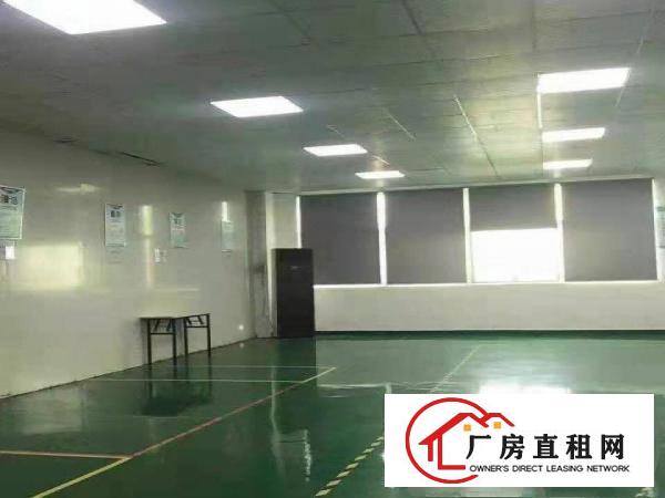  口罩客户福音！塘厦科苑城惊现楼上1500平方精装修无尘
