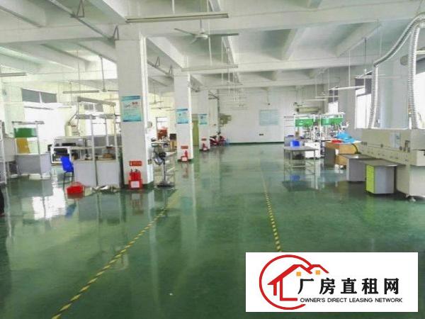 塘厦大坪出口原房东一楼厂房880平，精装修办公室，只租22元