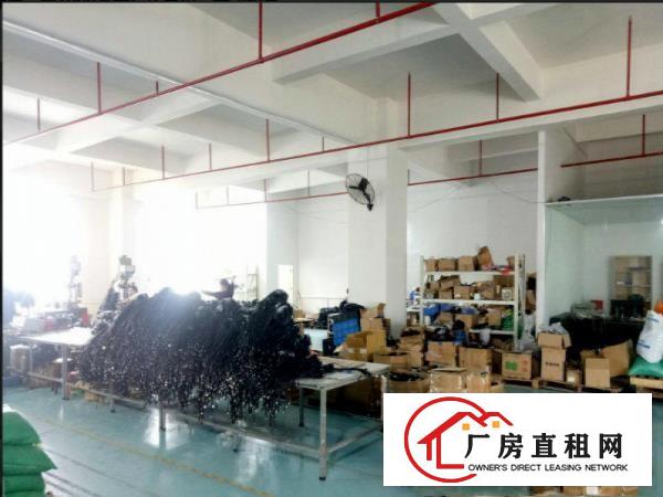  塘厦清湖头1200平米标准厂房二楼独立办公室带家具