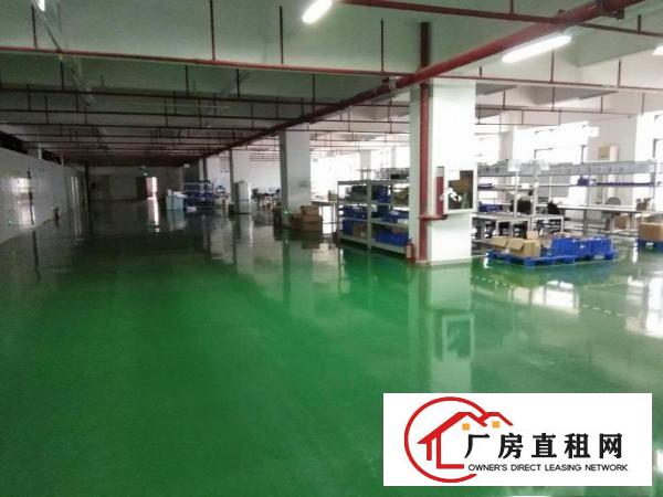  塘厦石鼓靓丽小独院5500平方！现成装修，空地大！可开发票