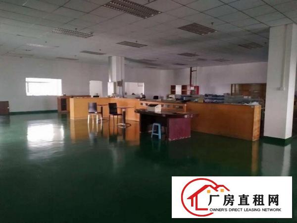  塘厦石鼓靓丽小独院5500平方！现成装修，空地大！可开发票