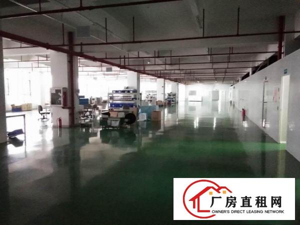  塘厦石鼓靓丽小独院5500平方！现成装修，空地大！可开发票