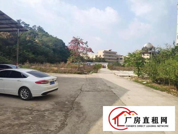  红线图地皮13500平方出租三通一平现成水电
