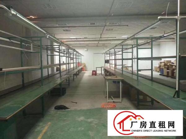  塘厦石鼓标准厂房二楼550平方米