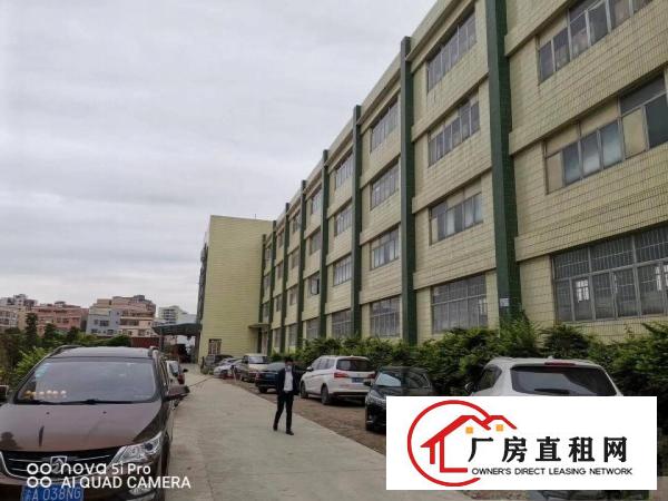  塘厦原房东独院厂房10000平方，8米高，超大空地，交通便利