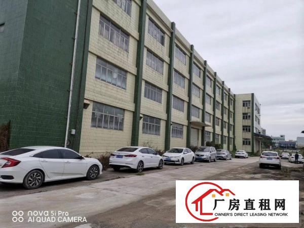  塘厦原房东独院厂房10000平方，8米高，超大空地，交通便利