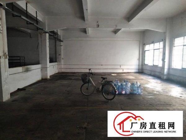  拎包入住带办公室塘厦莲湖新出一楼500平米标准厂房出租