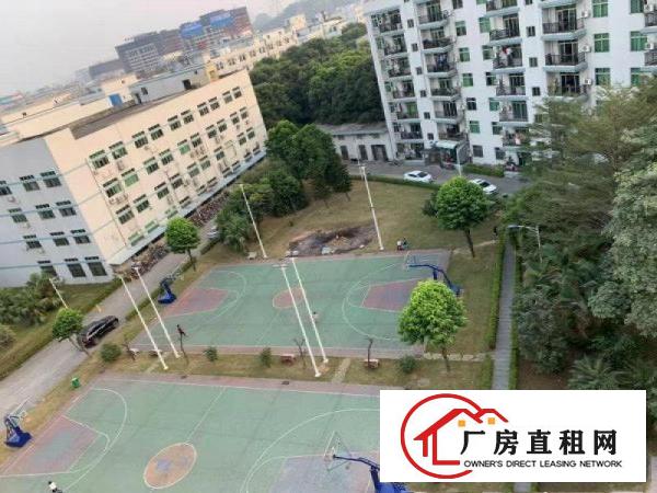  塘厦科苑城高速口500米园L式独院有证厂房对外直招